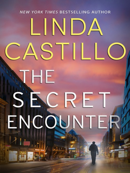 Cover image for The Secret Encounter